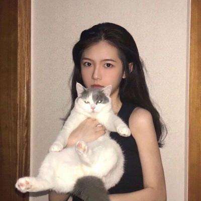 舟游九游版下载
